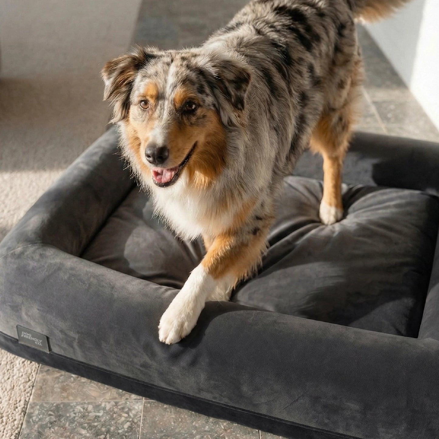 Replacement Cover - Charcoal