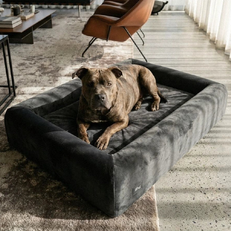 Velvet Easy Fit Dog Bed Cover - Charcoal