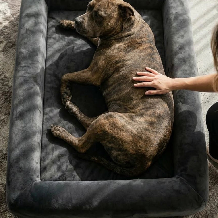 Velvet Easy Fit Dog Bed Cover - Charcoal