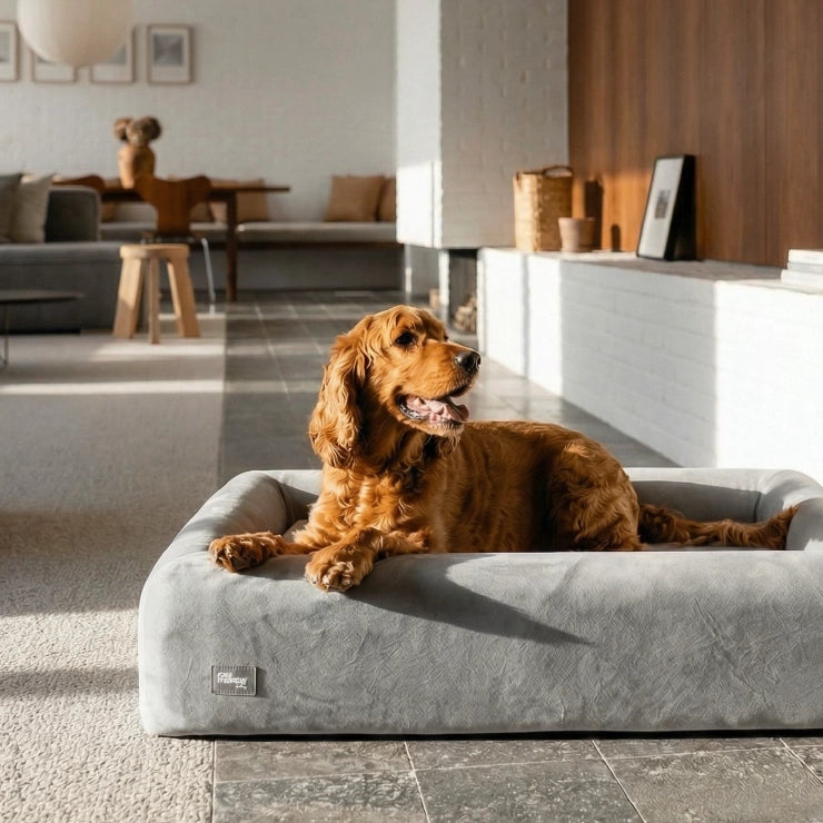 Velvet Easy Fit Dog Bed Cover - Grey