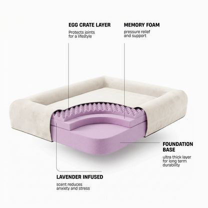Premium Orthopedic Memory Foam Dog Bed - Beige (Large) (Preorder)