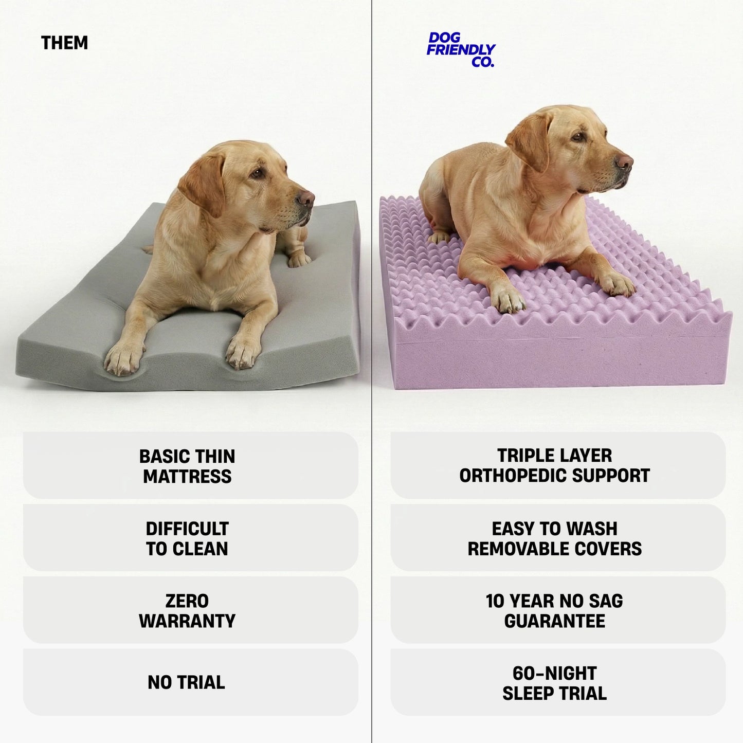 Premium Orthopedic Memory Foam Dog Bed - Beige (Large)