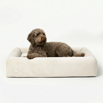 Premium Orthopedic Memory Foam Dog Bed - Beige (Large) (Preorder)