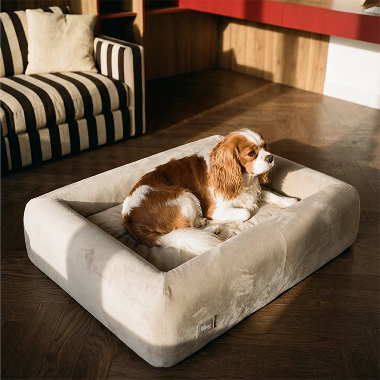 Premium Orthopedic Memory Foam Dog Bed - Beige (Large)