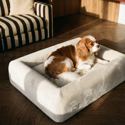 Premium Orthopedic Memory Foam Dog Bed - Beige