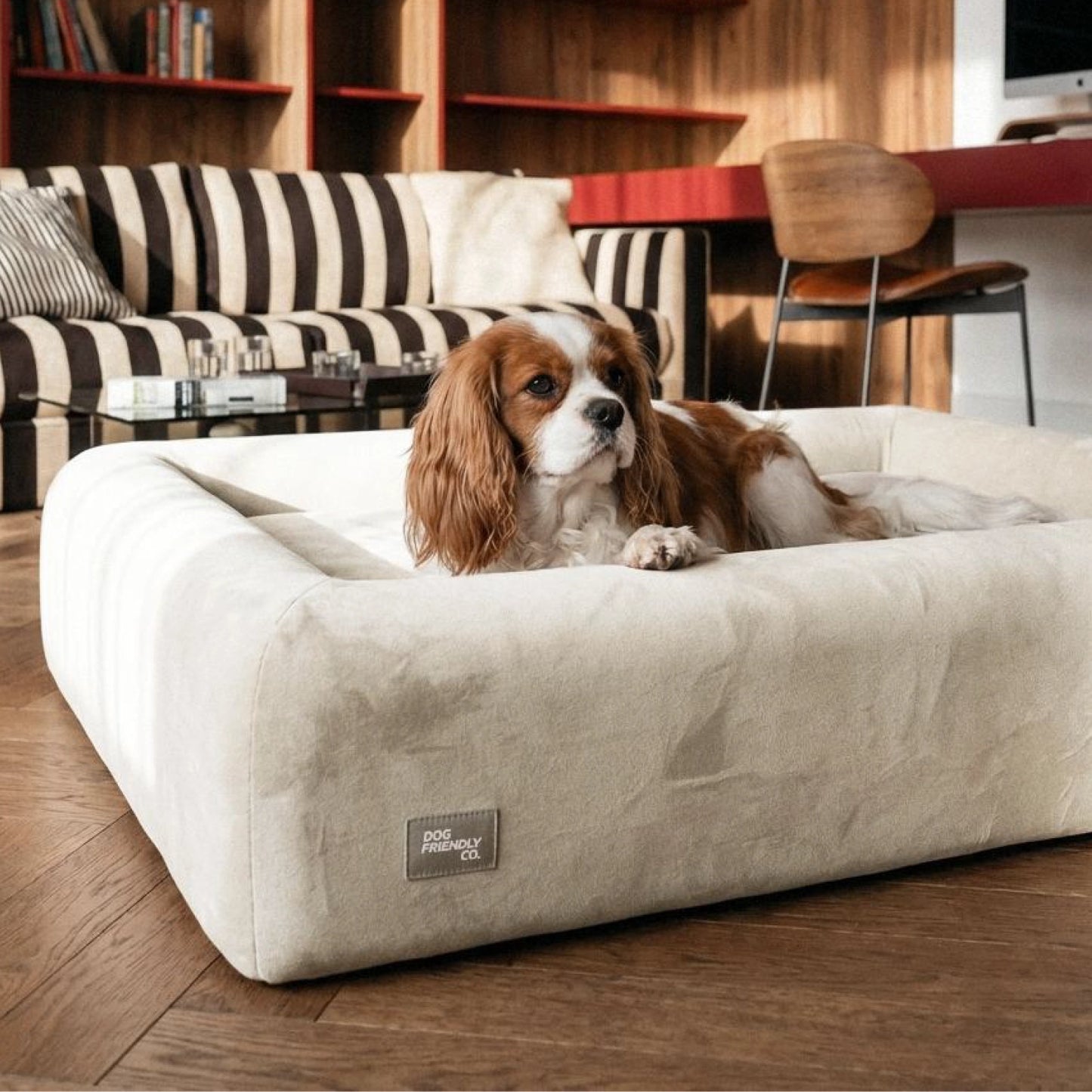 Premium Orthopedic Memory Foam Dog Bed - Beige (Medium) (Preorder)