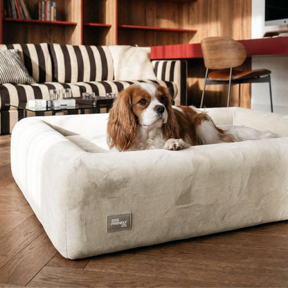 Premium Orthopedic Memory Foam Dog Bed - Beige