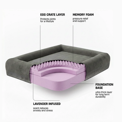 Premium Orthopedic Memory Foam Dog Bed - Charcoal (Large) (Preorder)