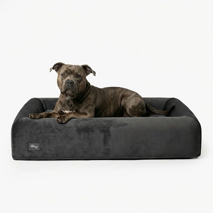 Premium Orthopedic Memory Foam Dog Bed - Charcoal (Large) (Preorder)