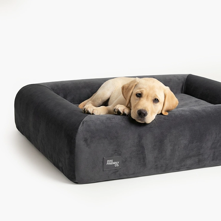 Premium Orthopedic Memory Foam Dog Bed - Charcoal (Large)