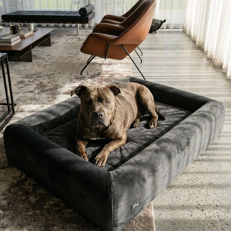 Premium Orthopedic Memory Foam Dog Bed - Charcoal