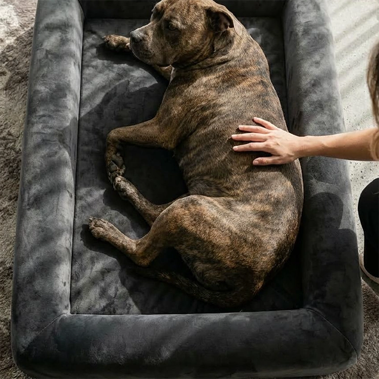 Premium Orthopedic Memory Foam Dog Bed - Charcoal (Large)