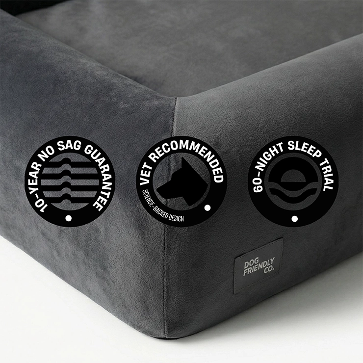 Premium Orthopedic Dog Bed + FREE Bed Cover & Pack Of Toys