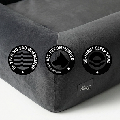 Premium Orthopedic Memory Foam Dog Bed - Charcoal (Large) (Preorder)