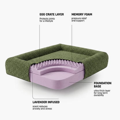 Premium Orthopedic Memory Foam Dog Bed - Green Bouclé (Large) (Preorder)
