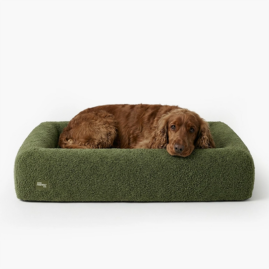 Premium Orthopedic Memory Foam Dog Bed - Green Bouclé (Small)