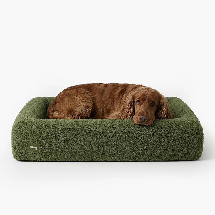 Premium Orthopedic Memory Foam Dog Bed - Green Bouclé (Medium)