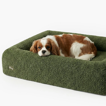 Premium Orthopedic Memory Foam Dog Bed - Green Bouclé (Medium) (Preorder)