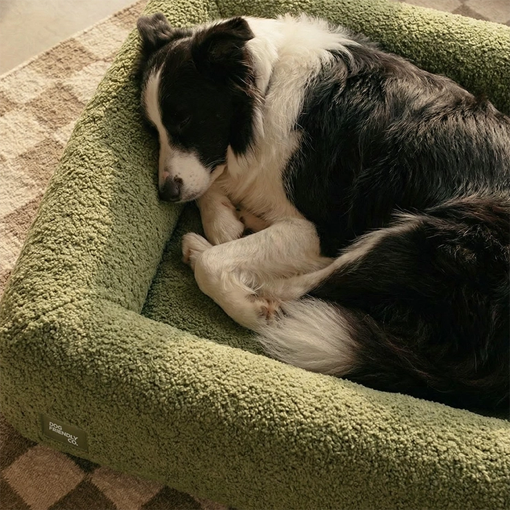 Premium Orthopedic Memory Foam Dog Bed - Green Bouclé (Medium)