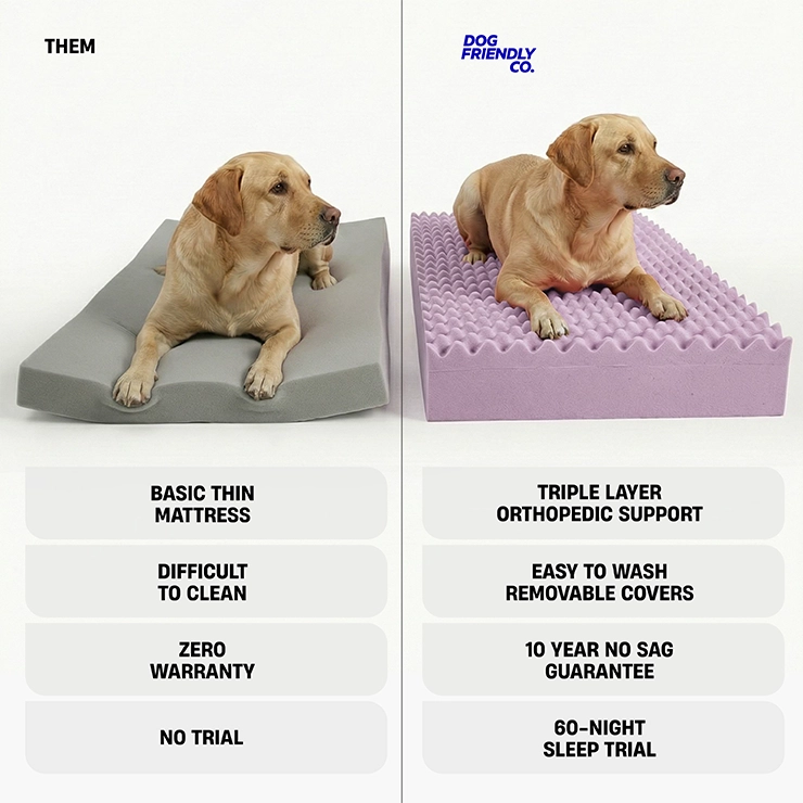 Premium Orthopedic Memory Foam Dog Bed - Grey Bouclé (Large)