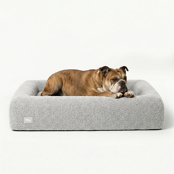 Premium Orthopedic Memory Foam Dog Bed - Grey Bouclé (Medium) – Dog ...