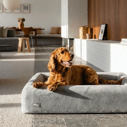Premium Orthopedic Memory Foam Dog Bed - Grey (Medium) (Preorder)