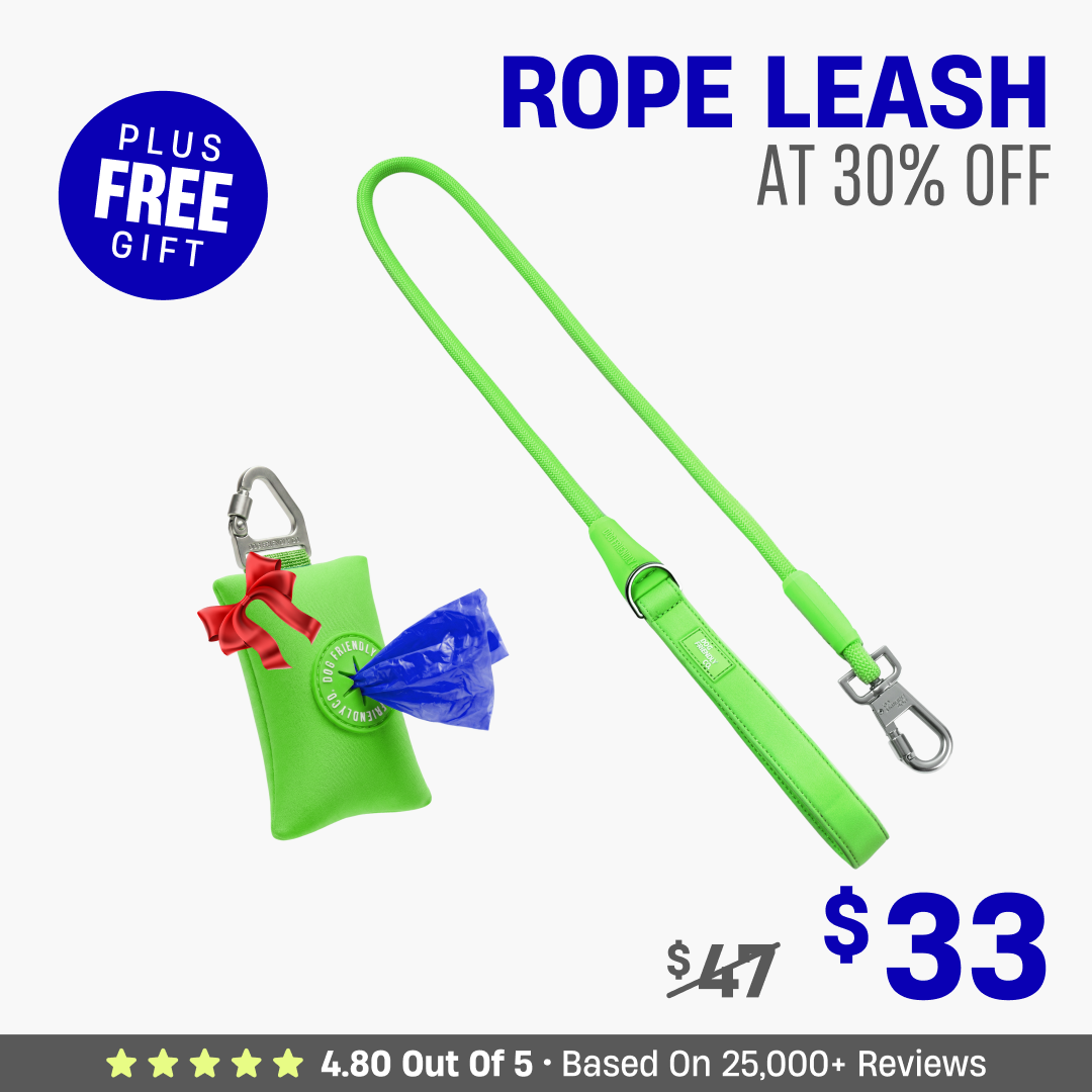 Get Leash at 30% OFF + FREE Poop Bag Holder