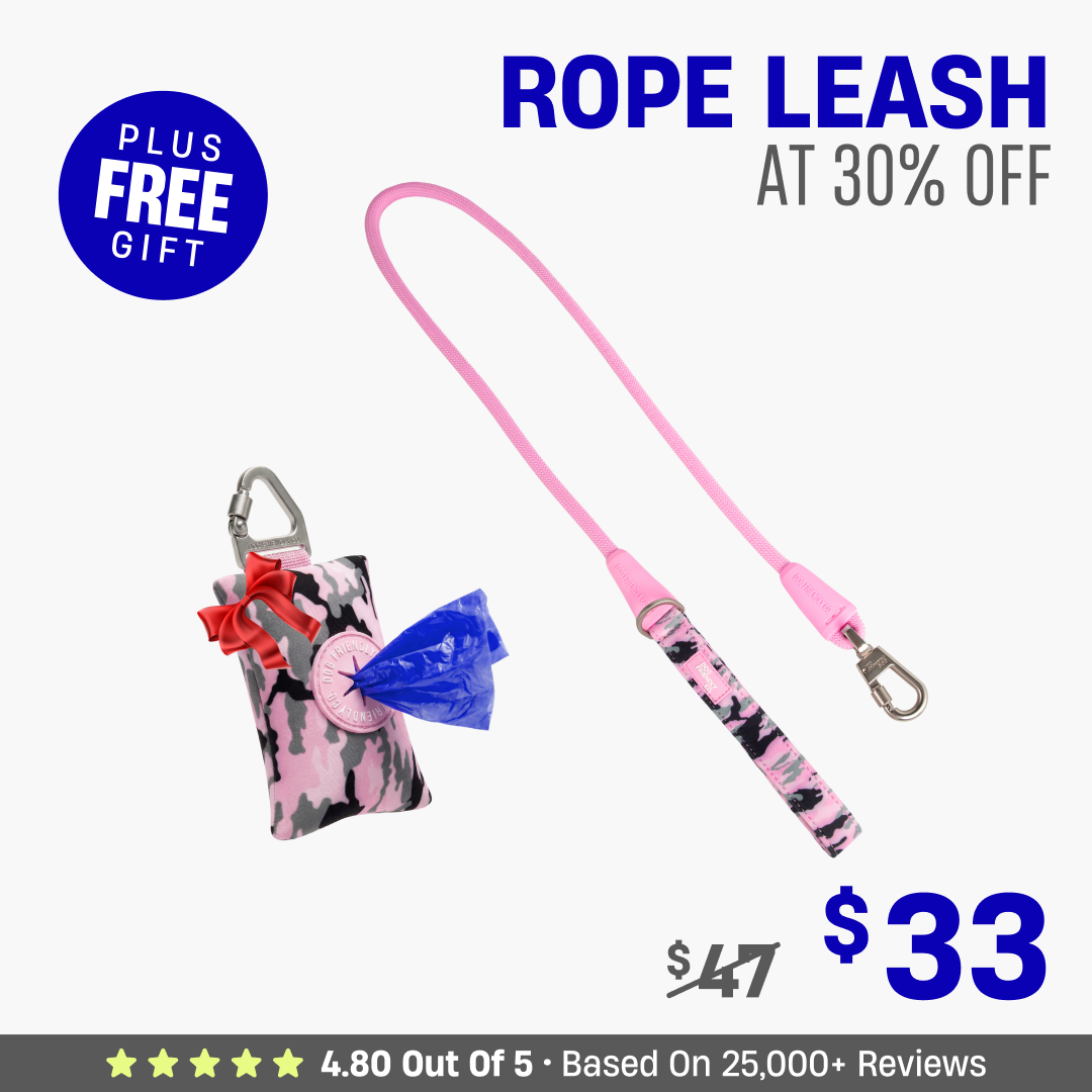 Get Leash at 30% OFF + FREE Poop Bag Holder