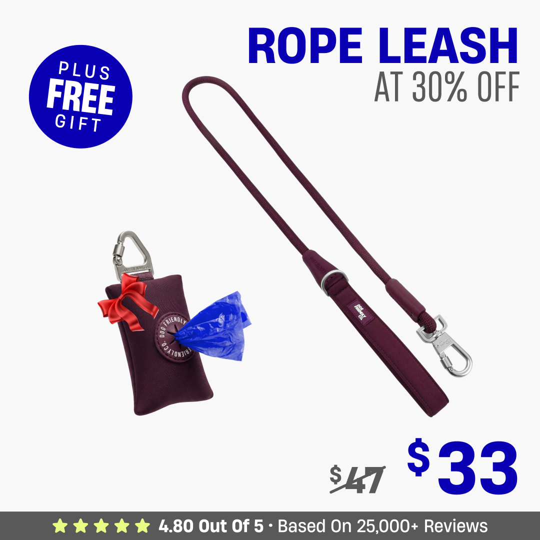 Get Leash at 30% OFF + FREE Poop Bag Holder