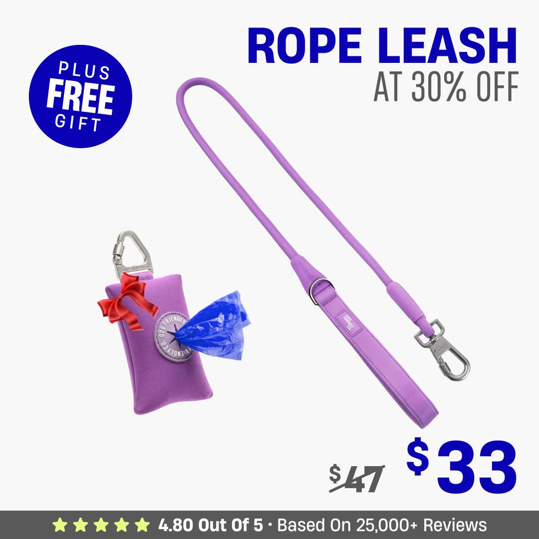 Get Leash at 30% OFF + FREE Poop Bag Holder