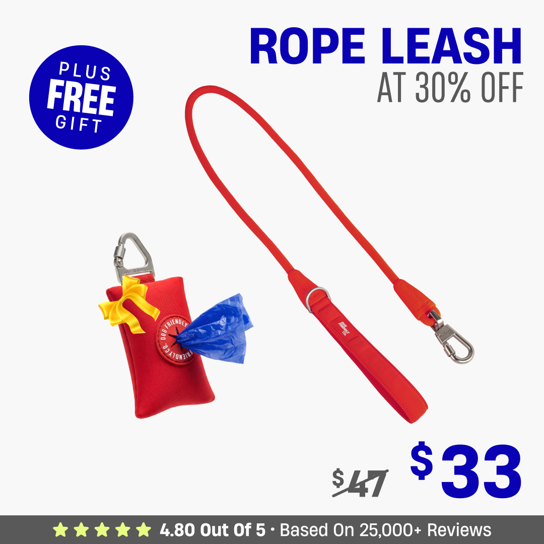 Get Leash at 30% OFF + FREE Poop Bag Holder