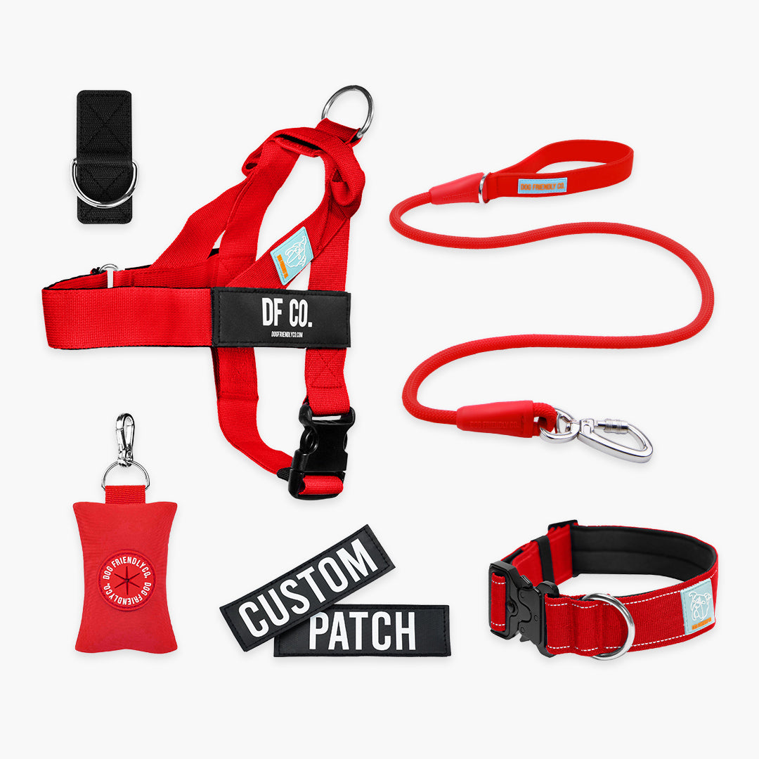 Ultimate No-Pull Bundle – Influencer Exclusive (Black)