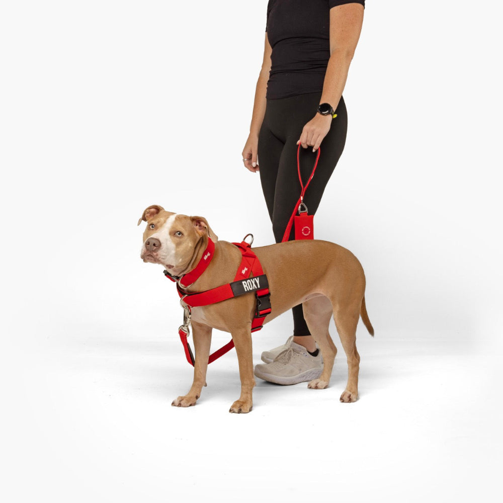 Ultimate No-Pull Bundle - Red