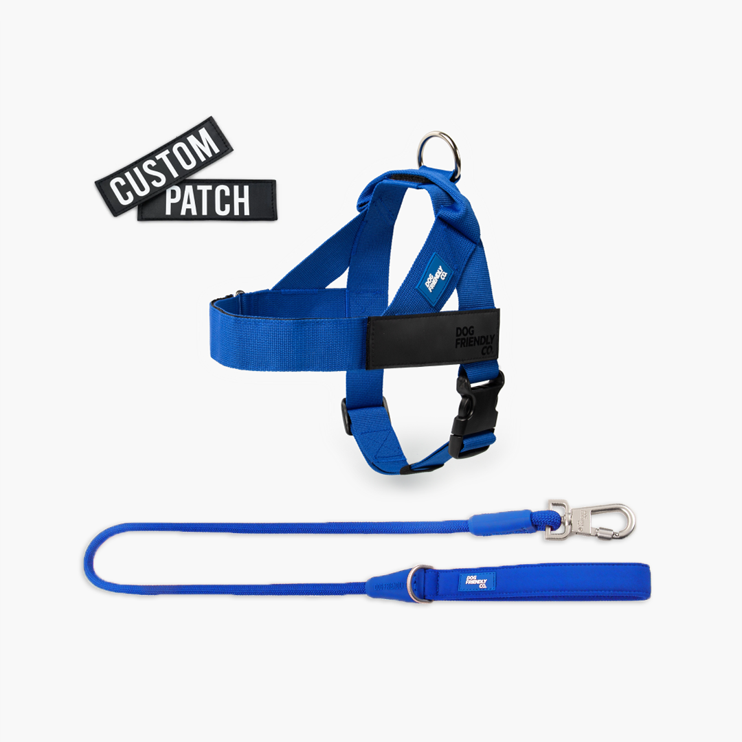 Signature Kit - Classic Blue