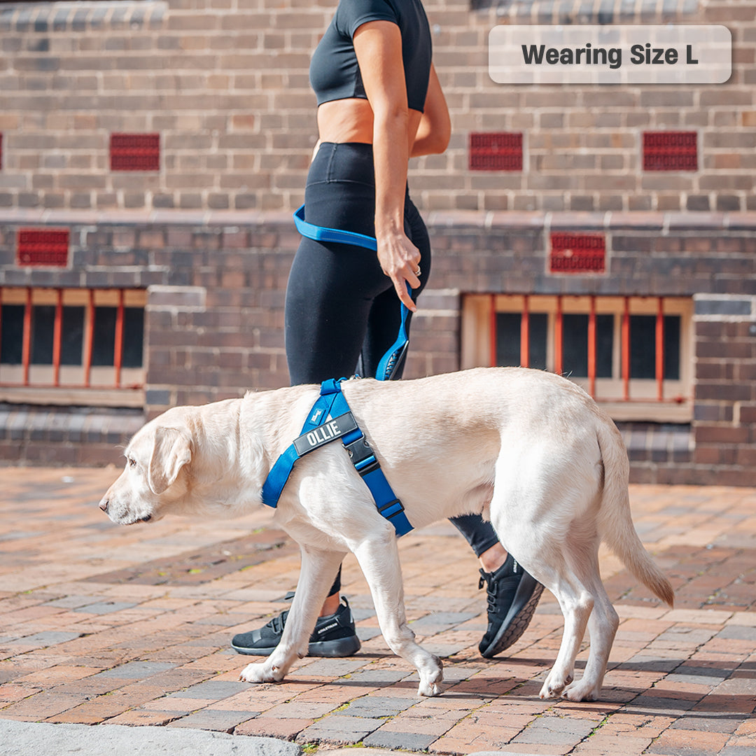 Signature Kit - Classic Blue