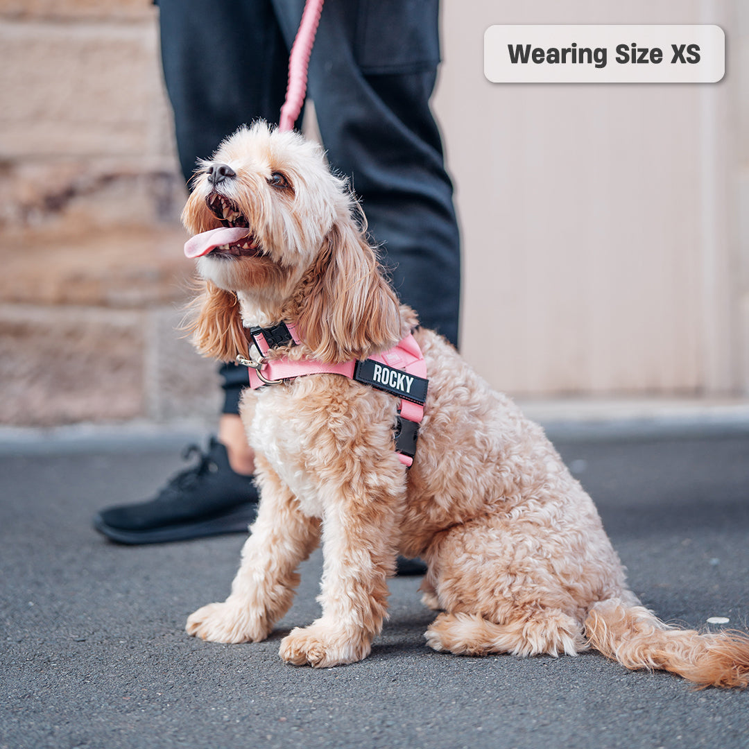 Signature Kit - Pink