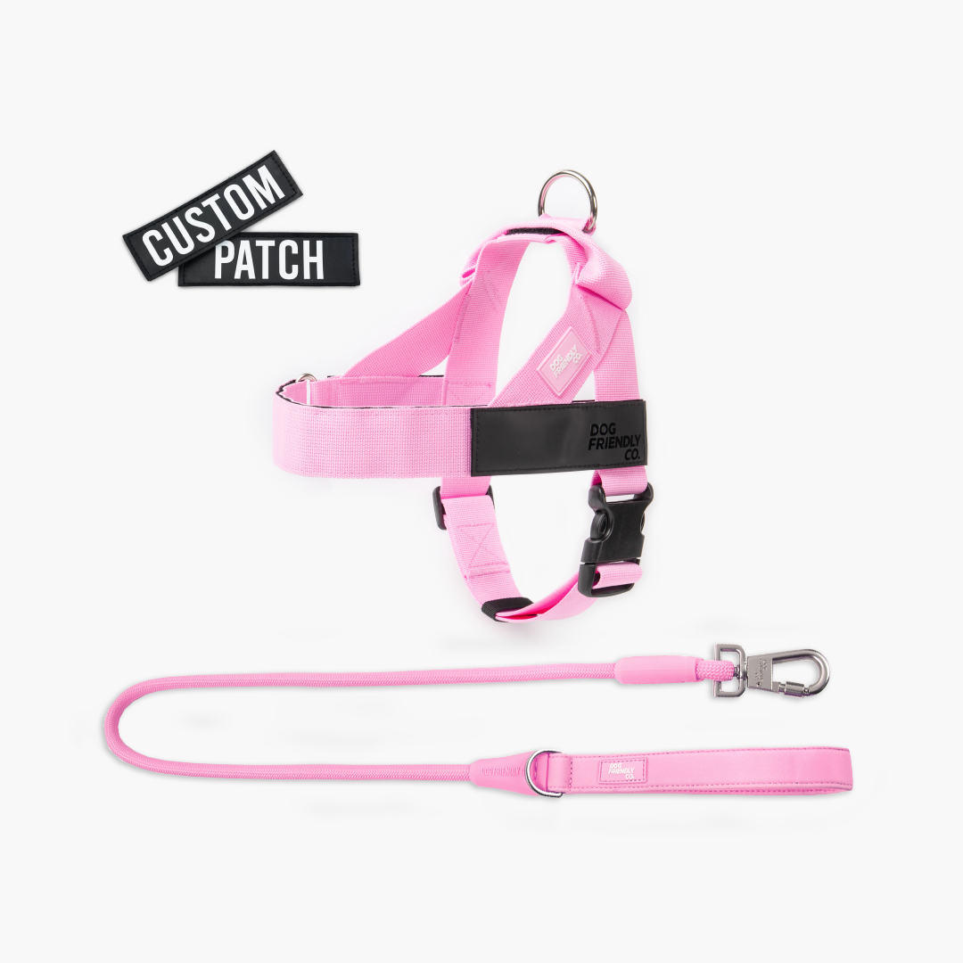 Signature Kit - Pink