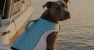 Shop Life Jackets