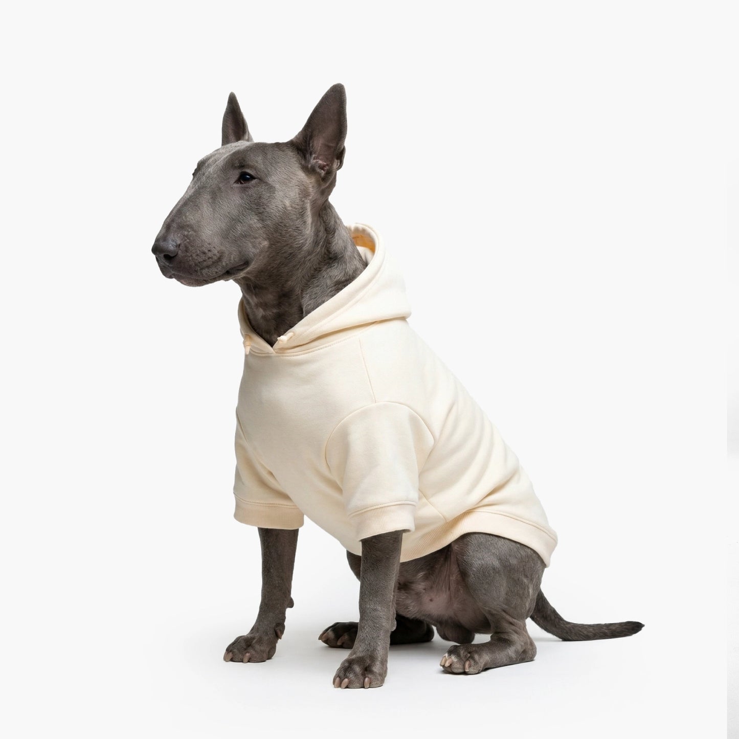 Winter Dog Hoodies - Beige