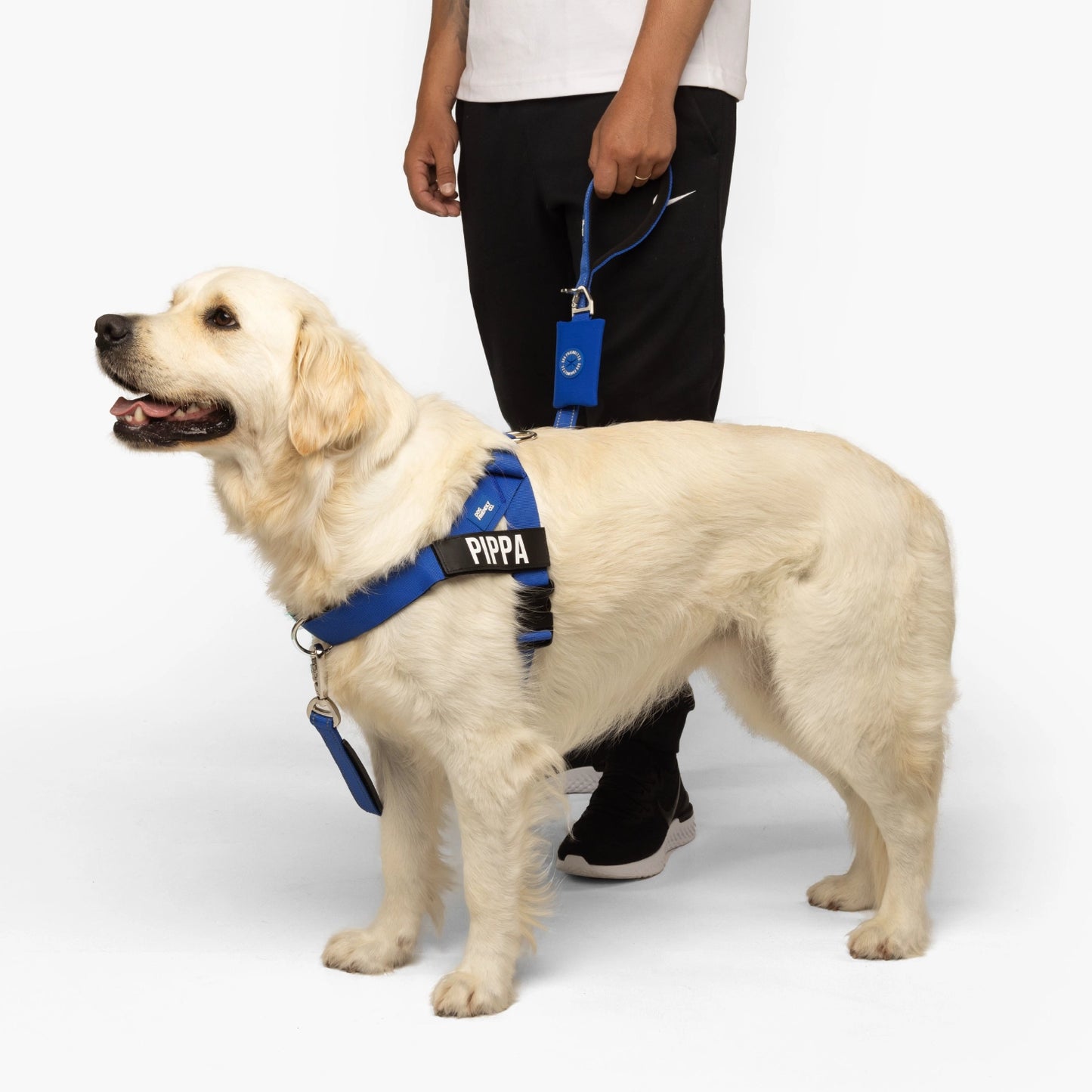 Signature Kit - Classic Blue