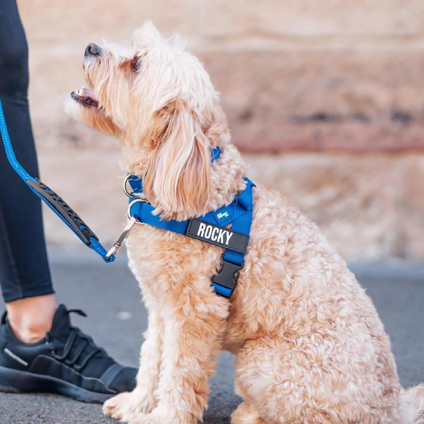 Signature Kit - Classic Blue