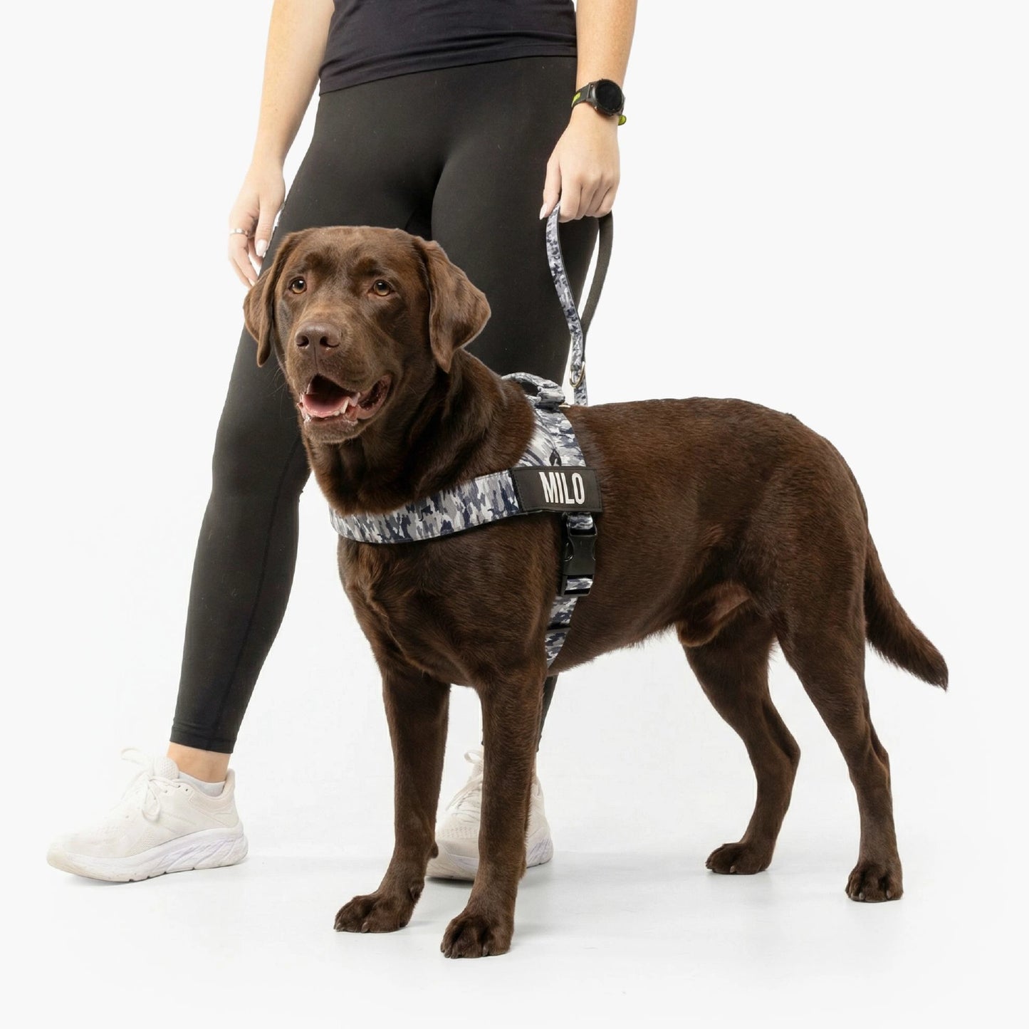 Signature Kit - Grey Camo