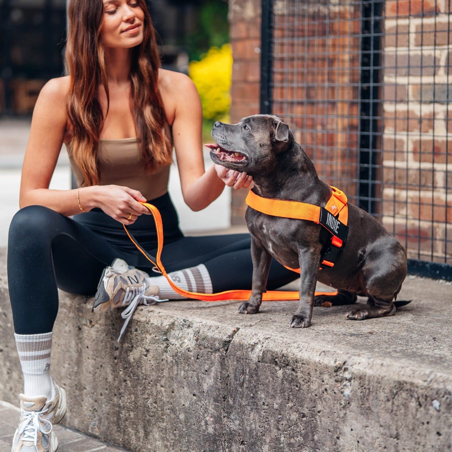 Signature Kit - Orange