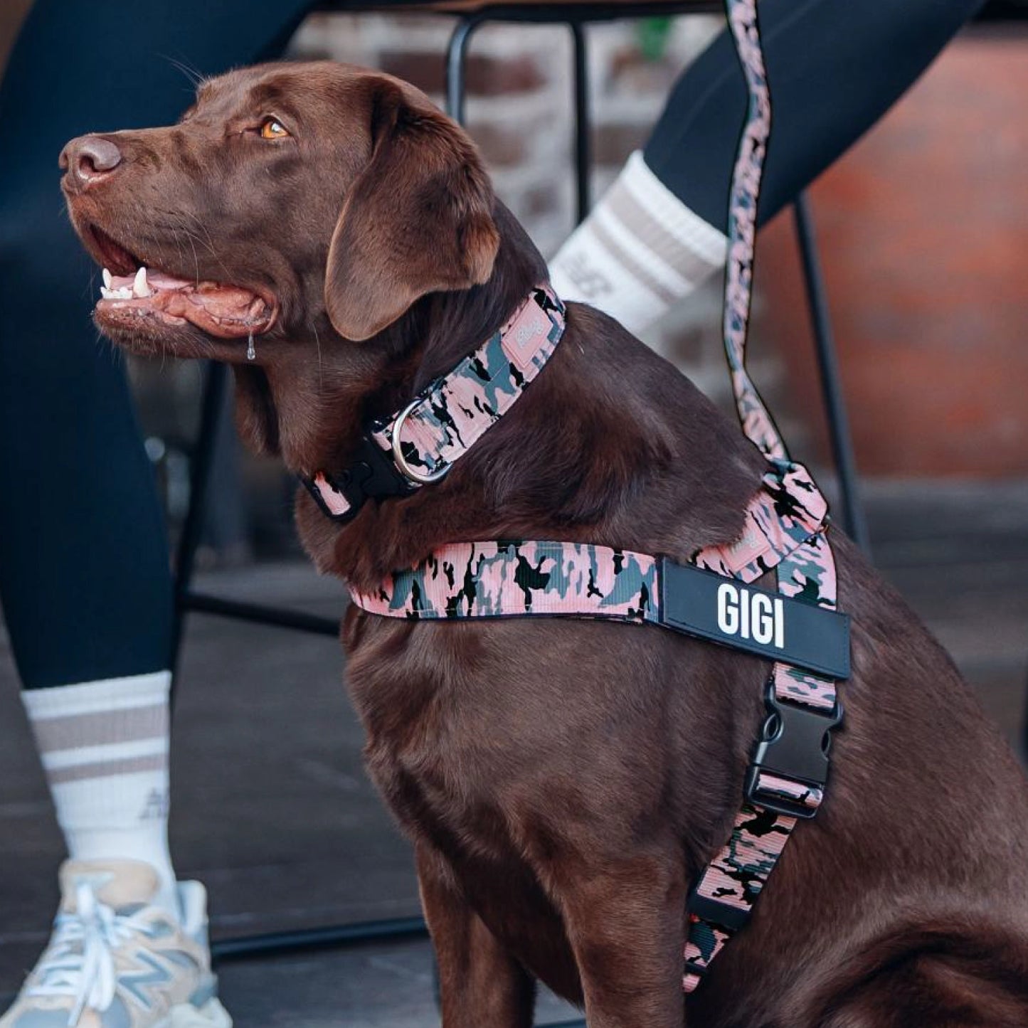 Signature Kit - Pink Camo