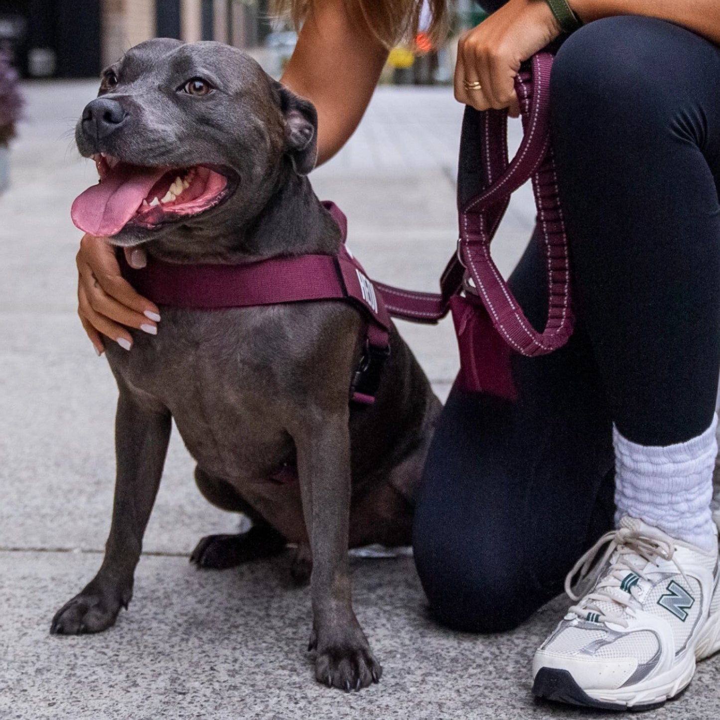 Signature Kit - Burgundy