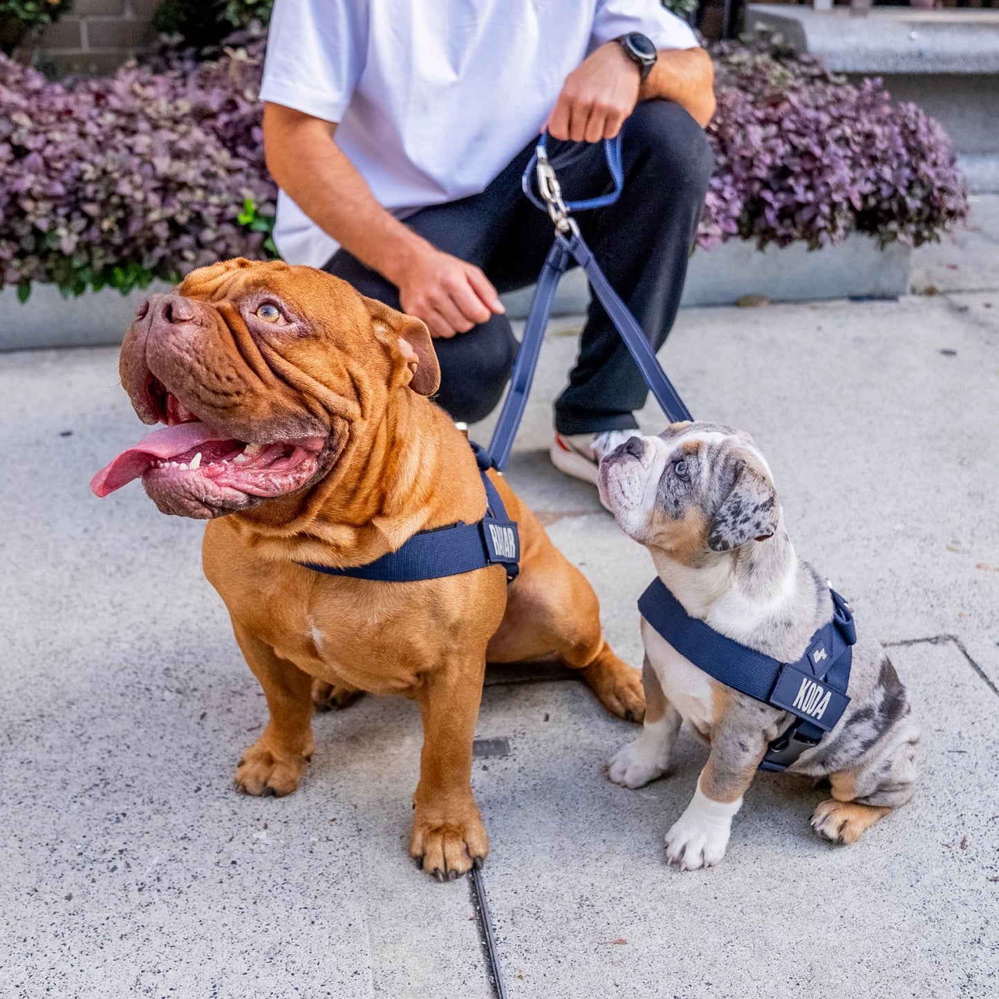 Signature Kit - Navy Blue