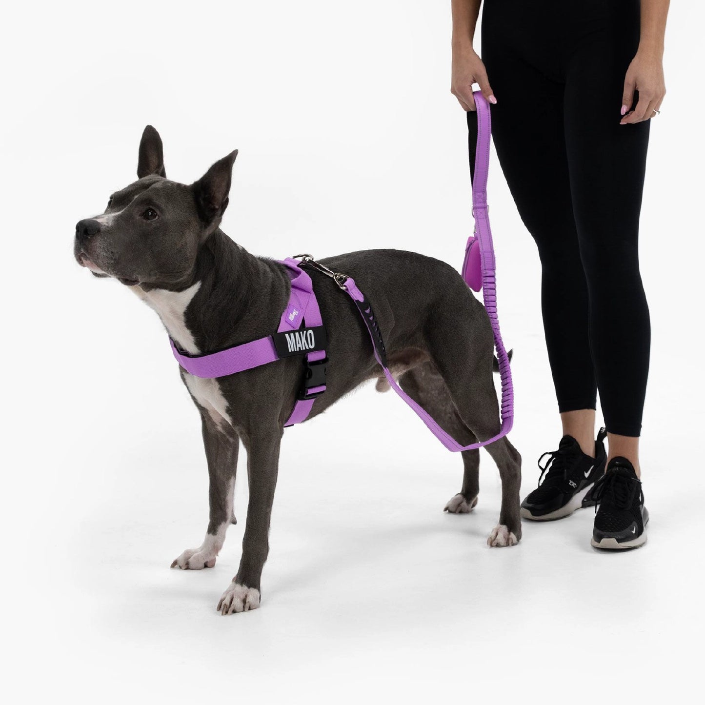 Signature Kit - Purple