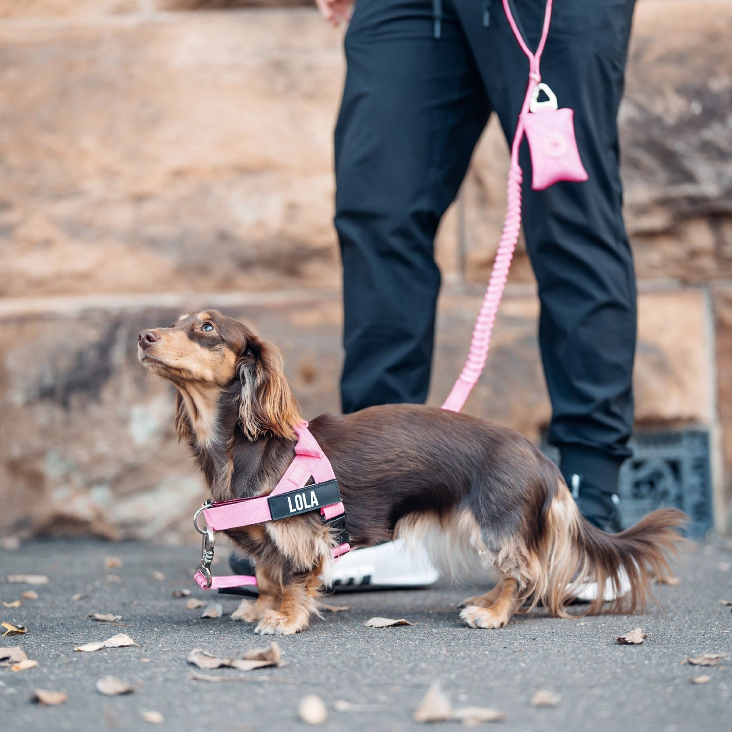 Signature Kit - Purple