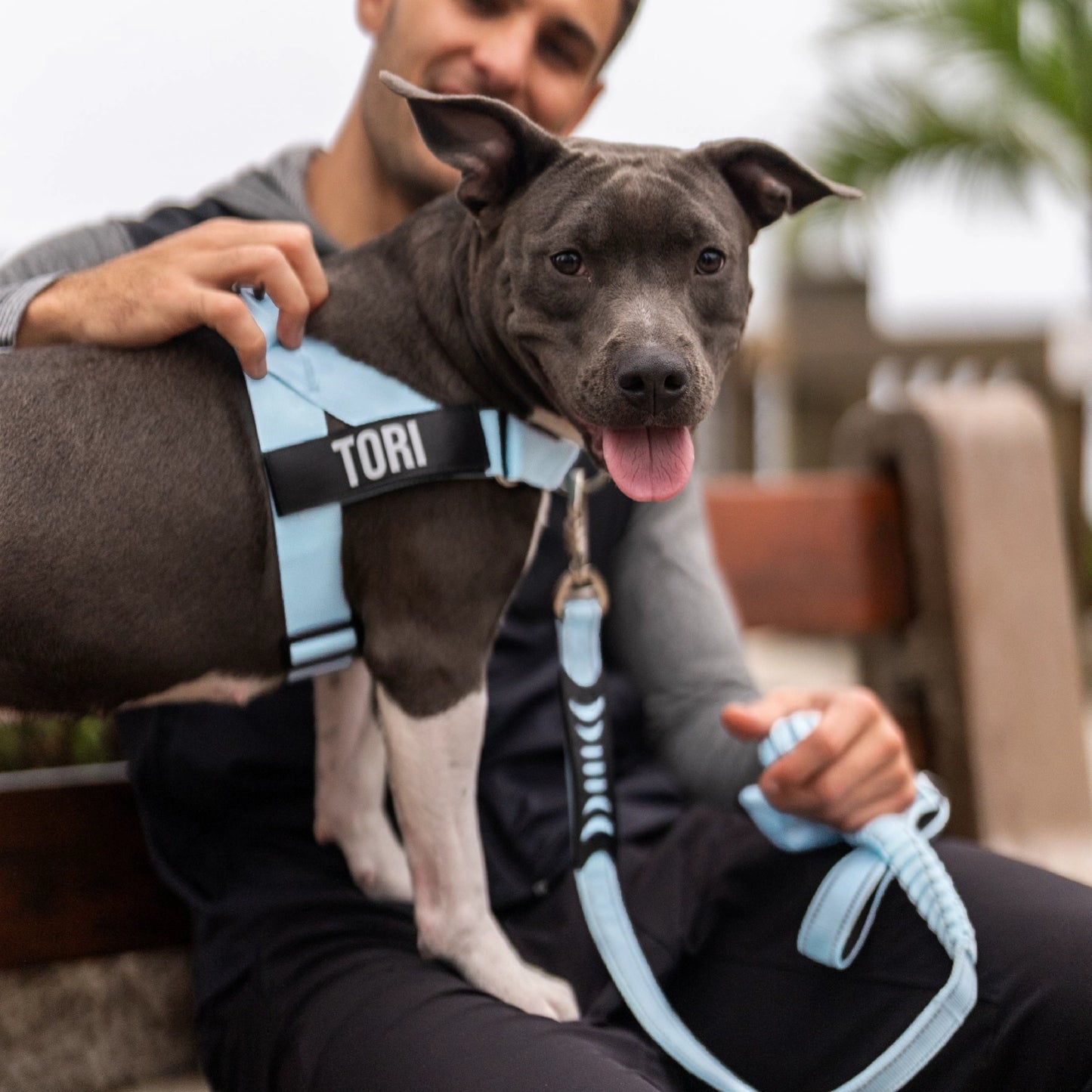 Signature Kit - Sky Blue