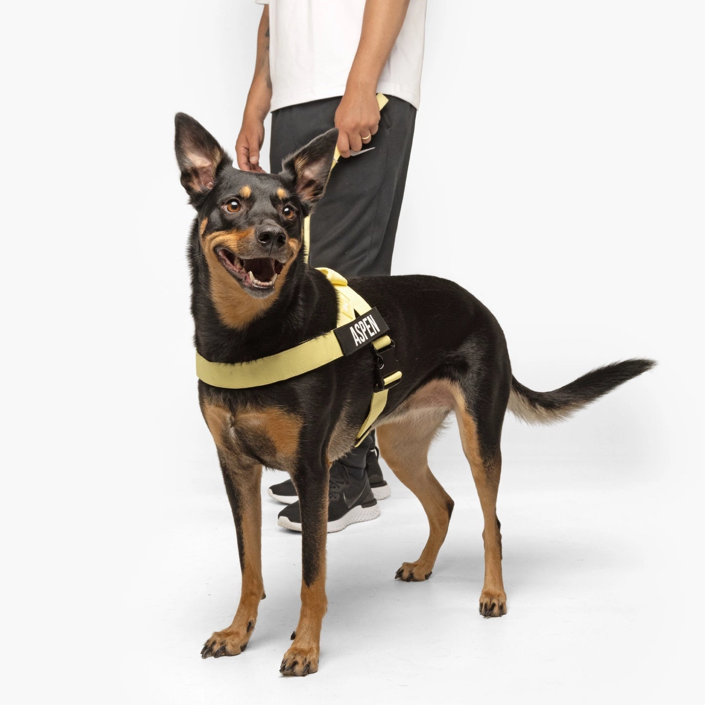 Signature Kit - Yellow